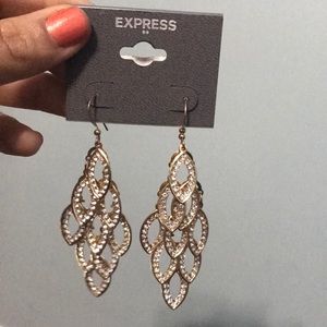 Express Earrings